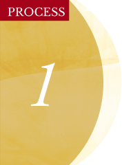 PROCESS01